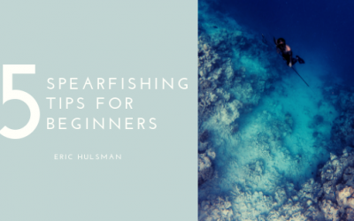 5 Spearfishing Tips for Beginners